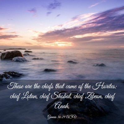 Picture 03 - Genesis 36:29 ASV - These are the chiefs that came of the Horites: - Bible Verse Picture
