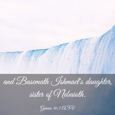 Picture 03 - Genesis 36:3 ASV - and Basemath Ishmael's daughter, sister of - Bible Verse Picture