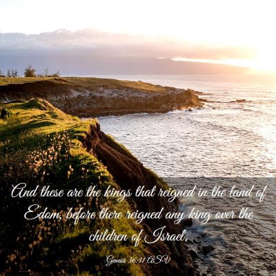 Picture 03 - Genesis 36:31 ASV - And these are the kings that reigned in the land - Bible Verse Picture