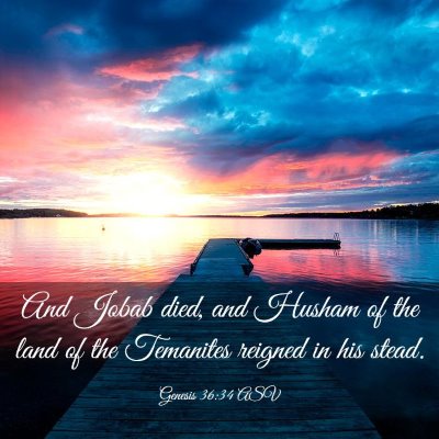 Picture 03 - Genesis 36:34 ASV - And Jobab died, and Husham of the land of the - Bible Verse Picture