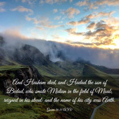 Picture 03 - Genesis 36:35 ASV - And Husham died, and Hadad the son of Bedad, who - Bible Verse Picture