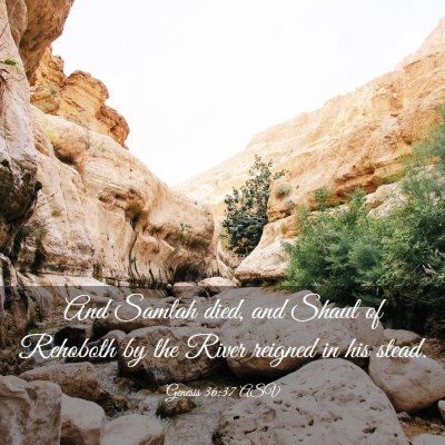 Picture 03 - Genesis 36:37 ASV - And Samlah died, and Shaul of Rehoboth by the - Bible Verse Picture