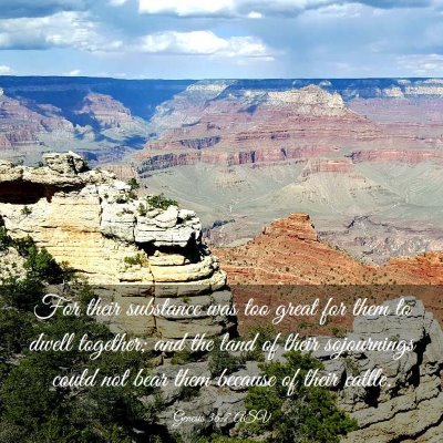 Picture 03 - Genesis 36:7 ASV - For their substance was too great for them to - Bible Verse Picture