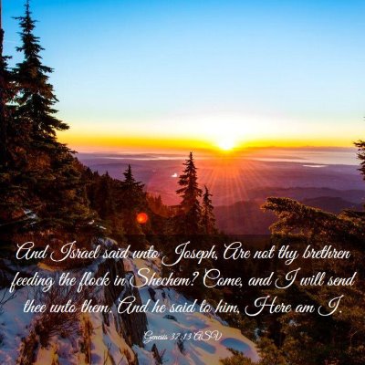 Picture 03 - Genesis 37:13 ASV - And Israel said unto Joseph, Are not thy brethren - Bible Verse Picture