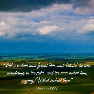 Picture 03 - Genesis 37:15 ASV - And a certain man found him, and, behold, he was - Bible Verse Picture