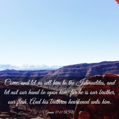 Picture 03 - Genesis 37:27 ASV - Come, and let us sell him to the Ishmaelites, and - Bible Verse Picture
