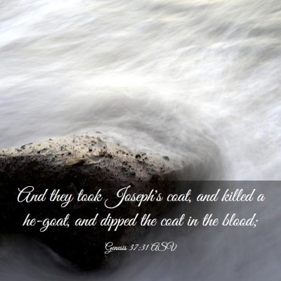 Picture 03 - Genesis 37:31 ASV - And they took Joseph's coat, and killed a - Bible Verse Picture