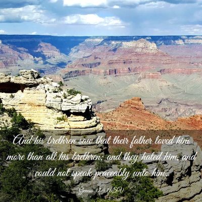 Picture 03 - Genesis 37:4 ASV - And his brethren saw that their father loved him - Bible Verse Picture