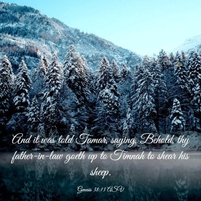 Picture 03 - Genesis 38:13 ASV - And it was told Tamar, saying, Behold, thy - Bible Verse Picture
