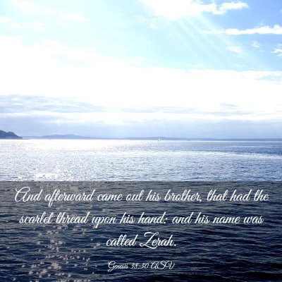 Picture 03 - Genesis 38:30 ASV - And afterward came out his brother, that had the - Bible Verse Picture