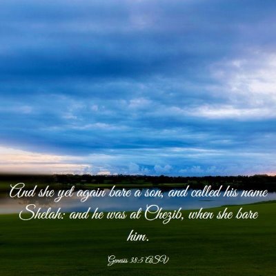 Picture 03 - Genesis 38:5 ASV - And she yet again bare a son, and called his name - Bible Verse Picture