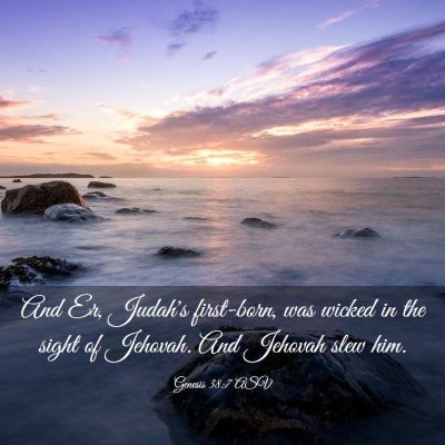 Picture 03 - Genesis 38:7 ASV - And Er, Judah's first-born, was wicked in the - Bible Verse Picture