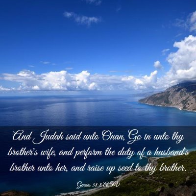 Picture 03 - Genesis 38:8 ASV - And Judah said unto Onan, Go in unto thy - Bible Verse Picture