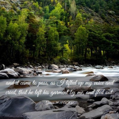 Picture 03 - Genesis 39:18 ASV - and it came to pass, as I lifted up my voice and - Bible Verse Picture