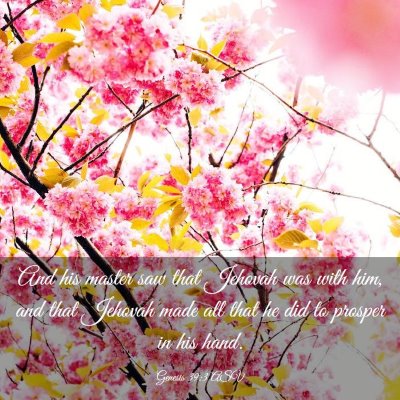 Picture 03 - Genesis 39:3 ASV - And his master saw that Jehovah was with him, and - Bible Verse Picture