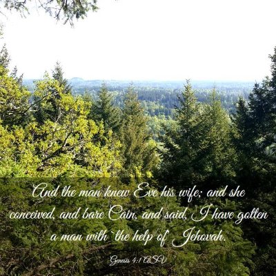 Picture 03 - Genesis 4:1 ASV - And the man knew Eve his wife; and she conceived, - Bible Verse Picture