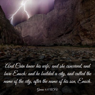 Picture 03 - Genesis 4:17 ASV - And Cain knew his wife; and she conceived, and - Bible Verse Picture