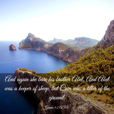 Picture 03 - Genesis 4:2 ASV - And again she bare his brother Abel. And Abel was - Bible Verse Picture