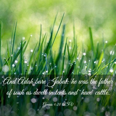 Picture 03 - Genesis 4:20 ASV - And Adah bare Jabal: he was the father of such as - Bible Verse Picture