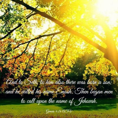 Picture 03 - Genesis 4:26 ASV - And to Seth, to him also there was born a son; - Bible Verse Picture