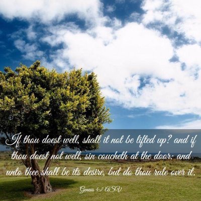 Picture 03 - Genesis 4:7 ASV - If thou doest well, shall it not be lifted up? - Bible Verse Picture