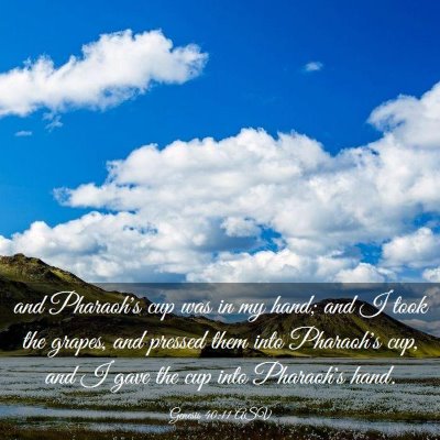 Picture 03 - Genesis 40:11 ASV - and Pharaoh's cup was in my hand; and I took the - Bible Verse Picture
