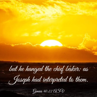 Picture 03 - Genesis 40:22 ASV - but he hanged the chief baker: as Joseph had - Bible Verse Picture