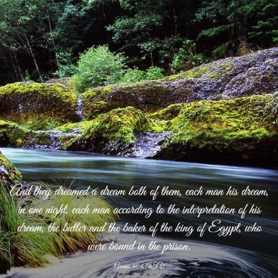 Picture 03 - Genesis 40:5 ASV - And they dreamed a dream both of them, each man - Bible Verse Picture