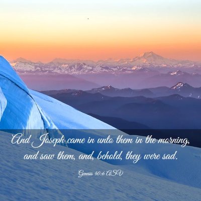 Picture 03 - Genesis 40:6 ASV - And Joseph came in unto them in the morning, and - Bible Verse Picture