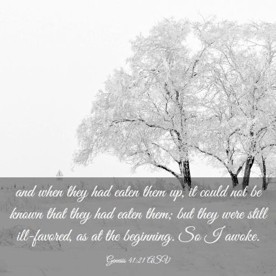 Picture 03 - Genesis 41:21 ASV - and when they had eaten them up, it could not be - Bible Verse Picture