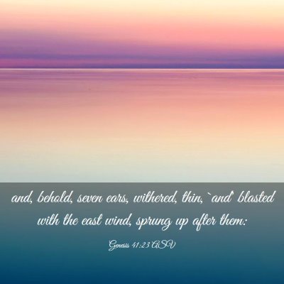 Picture 03 - Genesis 41:23 ASV - and, behold, seven ears, withered, thin, `and' - Bible Verse Picture