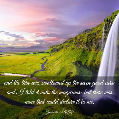 Picture 03 - Genesis 41:24 ASV - and the thin ears swallowed up the seven good - Bible Verse Picture