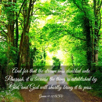 Picture 03 - Genesis 41:32 ASV - And for that the dream was doubled unto Pharaoh, - Bible Verse Picture