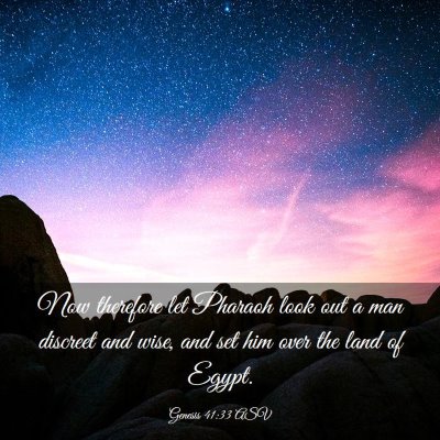 Picture 03 - Genesis 41:33 ASV - Now therefore let Pharaoh look out a man discreet - Bible Verse Picture
