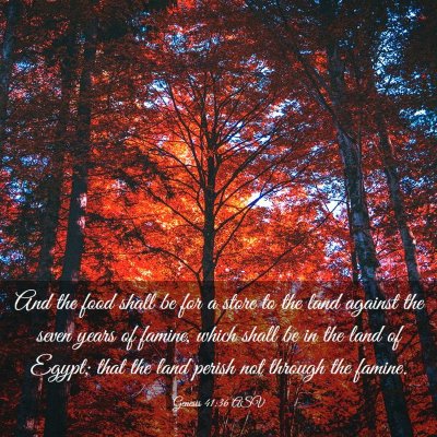 Picture 03 - Genesis 41:36 ASV - And the food shall be for a store to the land - Bible Verse Picture