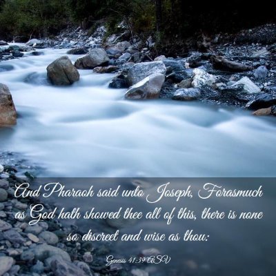 Picture 03 - Genesis 41:39 ASV - And Pharaoh said unto Joseph, Forasmuch as God - Bible Verse Picture