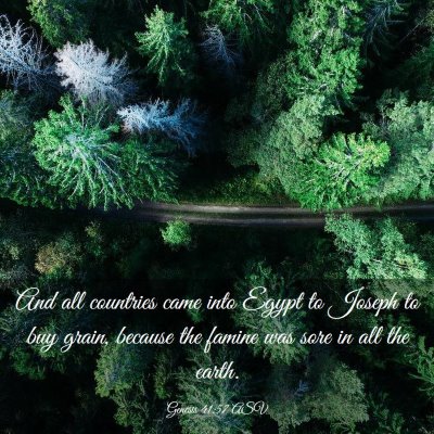 Picture 03 - Genesis 41:57 ASV - And all countries came into Egypt to Joseph to - Bible Verse Picture