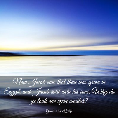 Picture 03 - Genesis 42:1 ASV - Now Jacob saw that there was grain in Egypt, and - Bible Verse Picture