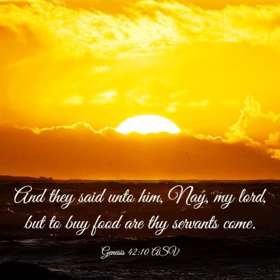 Picture 03 - Genesis 42:10 ASV - And they said unto him, Nay, my lord, but to buy - Bible Verse Picture