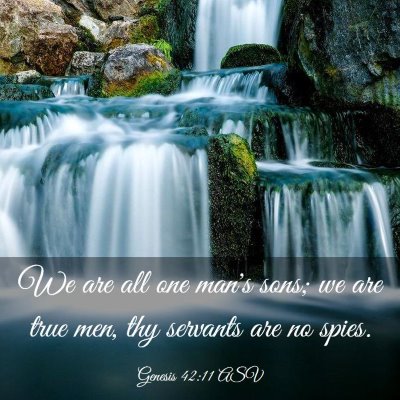 Picture 03 - Genesis 42:11 ASV - We are all one man's sons; we are true men, thy - Bible Verse Picture