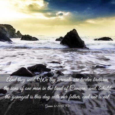 Picture 03 - Genesis 42:13 ASV - And they said, We thy servants are twelve - Bible Verse Picture