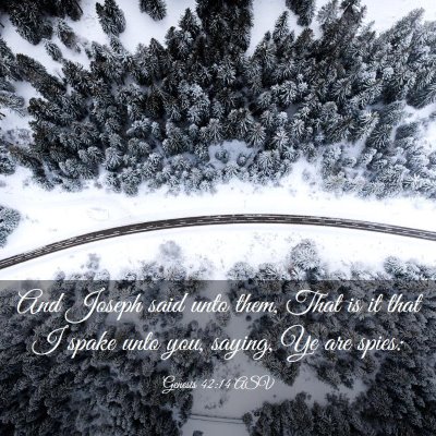 Picture 03 - Genesis 42:14 ASV - And Joseph said unto them, That is it that I - Bible Verse Picture