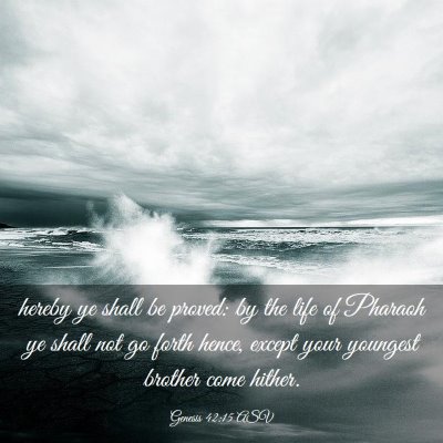 Picture 03 - Genesis 42:15 ASV - hereby ye shall be proved: by the life of Pharaoh - Bible Verse Picture