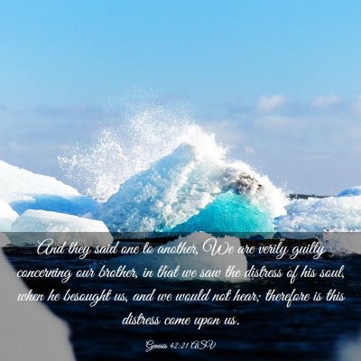 Picture 03 - Genesis 42:21 ASV - And they said one to another, We are verily - Bible Verse Picture