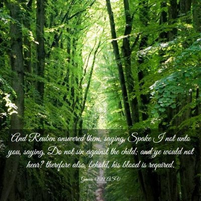 Picture 03 - Genesis 42:22 ASV - And Reuben answered them, saying, Spake I not - Bible Verse Picture