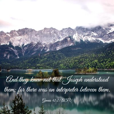 Picture 03 - Genesis 42:23 ASV - And they knew not that Joseph understood them; - Bible Verse Picture