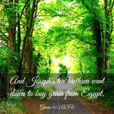 Picture 03 - Genesis 42:3 ASV - And Joseph's ten brethren went down to buy grain - Bible Verse Picture