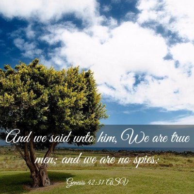 Picture 03 - Genesis 42:31 ASV - And we said unto him, We are true men; and we are - Bible Verse Picture