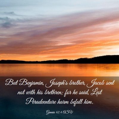 Picture 03 - Genesis 42:4 ASV - But Benjamin, Joseph's brother, Jacob sent not - Bible Verse Picture