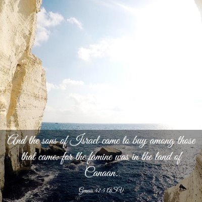 Picture 03 - Genesis 42:5 ASV - And the sons of Israel came to buy among those - Bible Verse Picture